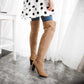 Women's Chunky Heel Suede Boots Plus Size Thigh High Boots