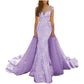 Lace Sweep Train Evening Dress Long Prom Dress Party Gowns