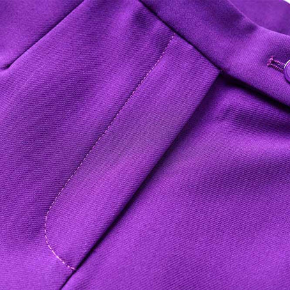 Women Purple Pantsuit Fitted Blazer + Mid-High Rise Trousers Pantsuit Suit Party Wear