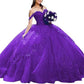 Princess off Shoulder Quinceanera Dresses Tulle Sweet 16 Ball Dress with Train