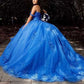 Princess off Shoulder Quinceanera Dresses Tulle Sweet 16 Ball Dress with Train