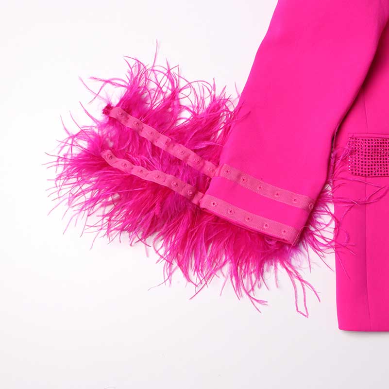 Long Sleeve Feather Crystal Blazer in Hot Pink, White, Black