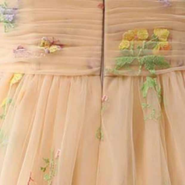 Cute A Line Spaghetti Straps Champagne Prom Dress with Embroidery