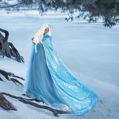 Elegant medieval dress with a shimmering blue fairy tale cosplay costume cape, perfect for themed events