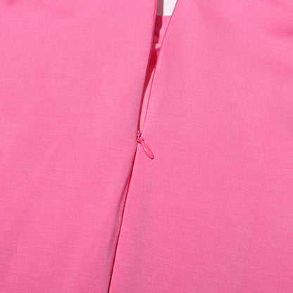 Sleeveless Standard Collar Short Dress Flower Embellished A-Line Mini Dress