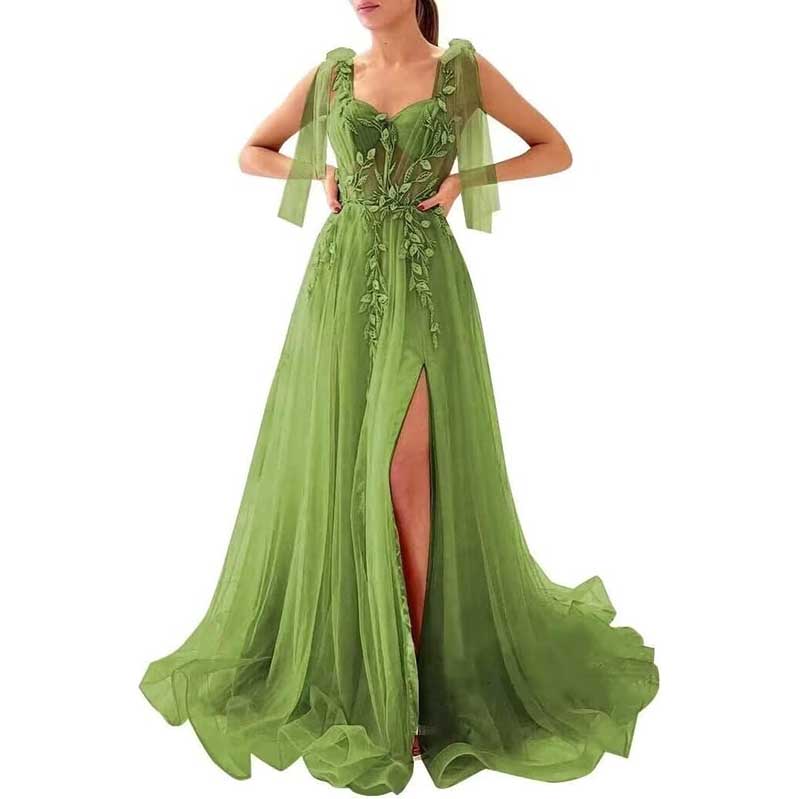 Garden Prom Dress Tulle Long Appliques Birthday Party Ball Gowns Wedding Prom