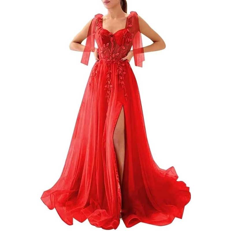 Garden Prom Dress Tulle Long Appliques Birthday Party Ball Gowns Wedding Prom