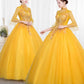 Standard Collar Yellow Tulle Ball Gown Dress With Sleeves