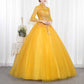 Standard Collar Yellow Tulle Ball Gown Dress With Sleeves