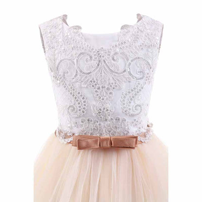 Flower Girl Lace Dress for Kids Wedding Party Prom Princess Puffy Tulle Dresses