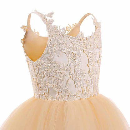 Lace Embroidery Sheer Sleeveless Flower Dress Kids Trailing Tutu Gowns