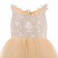 Lace Embroidery Sheer Sleeveless Flower Dress Kids Trailing Tutu Gowns