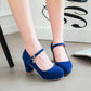 Women's buckled platform shoes suede chunky heeled shoes