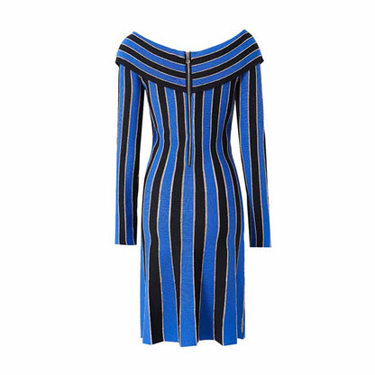 Women's long sleeve knit mini dress blue striped elegant dress