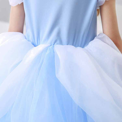 Little Girl Cinderela Princess Dress Halloween Gala Prom