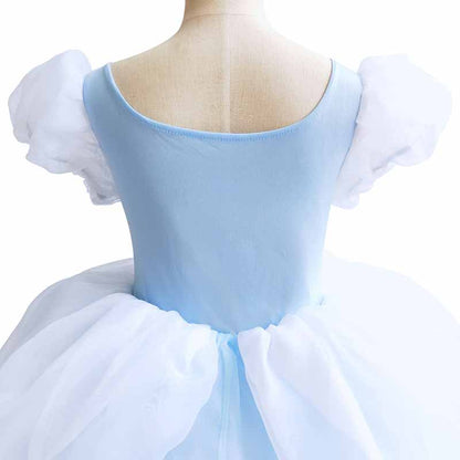 Little Girl Cinderela Princess Dress Halloween Gala Prom