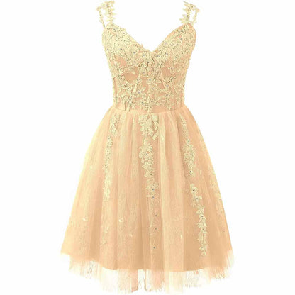 Lace Applique Fairy Homecoming Dresses Short Prom Party Dress Tulle Mini Dress